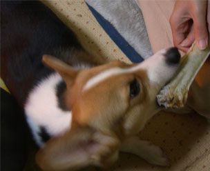 �^���Ȃ܂Ȃ���